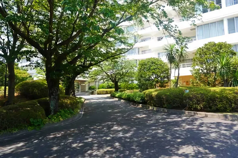 敷地内の植栽
