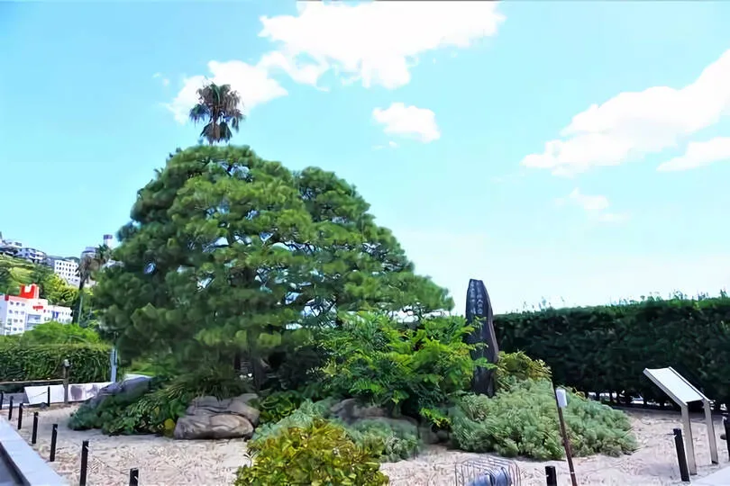 お宮の松