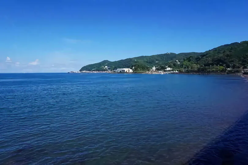 網代湾