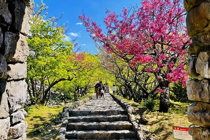 今帰仁城跡(世界遺産)